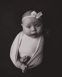 Jeg har fått være med på nyfødtfotografering, 1 årsbilder, flere runder med juleminis og i morgen blir det bryllup 🥹 Heldige meg som får ta del i de store øyeblikkene i livet… Gleder meg!🫶🏼 

#nyfødtfotografering #fotografbergen #babyfotografering
