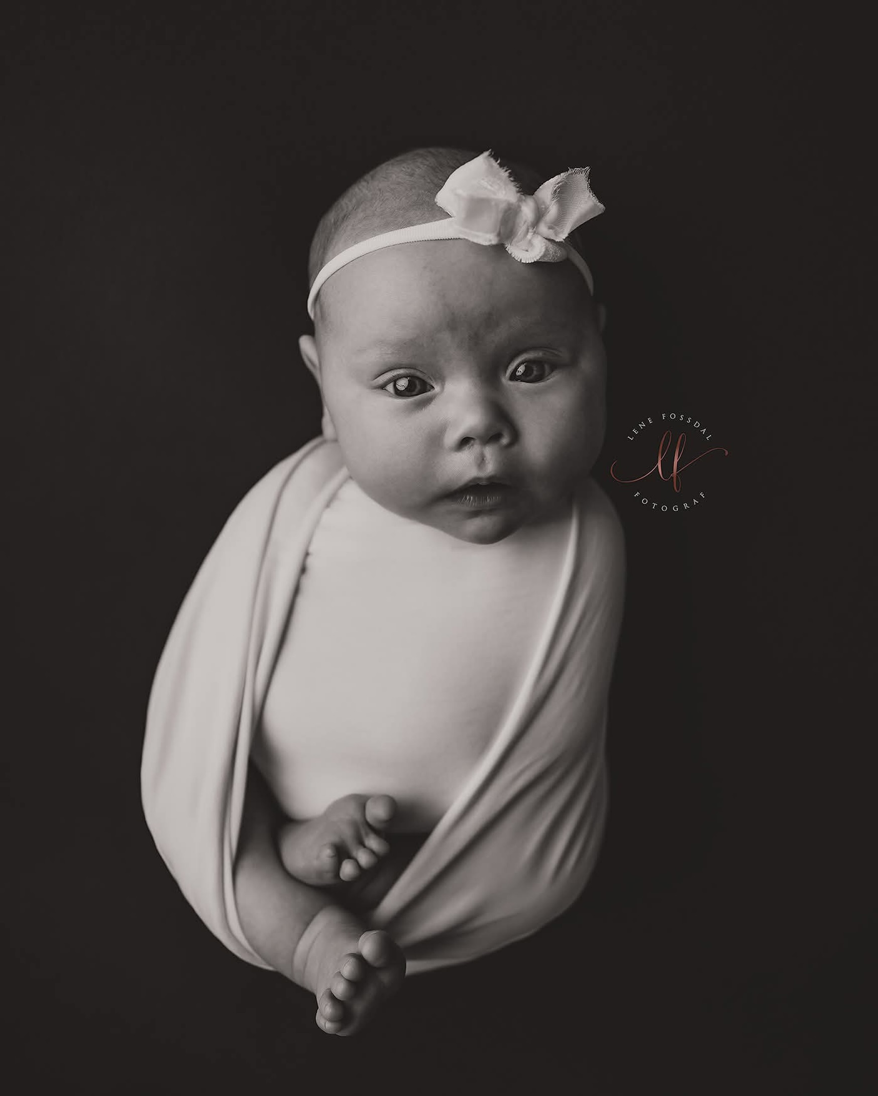 Jeg har fått være med på nyfødtfotografering, 1 årsbilder, flere runder med juleminis og i morgen blir det bryllup 🥹 Heldige meg som får ta del i de store øyeblikkene i livet… Gleder meg!🫶🏼 

#nyfødtfotografering #fotografbergen #babyfotografering