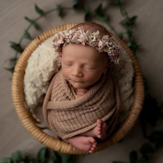 Tre fine frøkner i studio på nyfødtfotografering 🥹 For en magisk liten bukett av noen mennesker 🫶🏼 

Interessert i nyfødtfotografering?
Fotograf@lenefossdal.com
Velkommen ✨

#nyfødtfotografering #fotografbergen #newborninspo